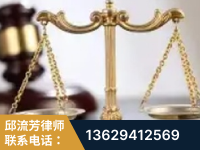 漯河-委托诉讼代理人出庭